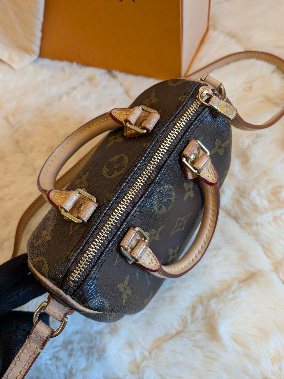 Louis Vuitton Speedy Nano Monogram Canvas