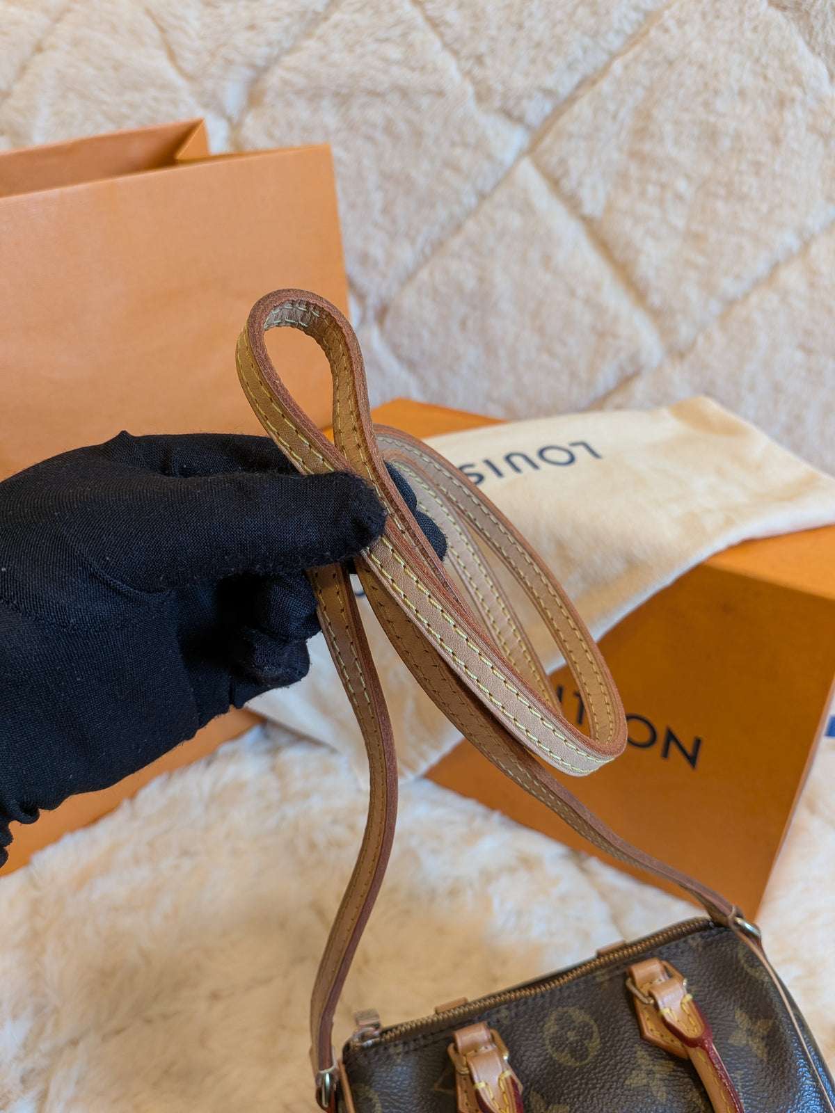 Louis Vuitton Speedy Nano Monogram Canvas