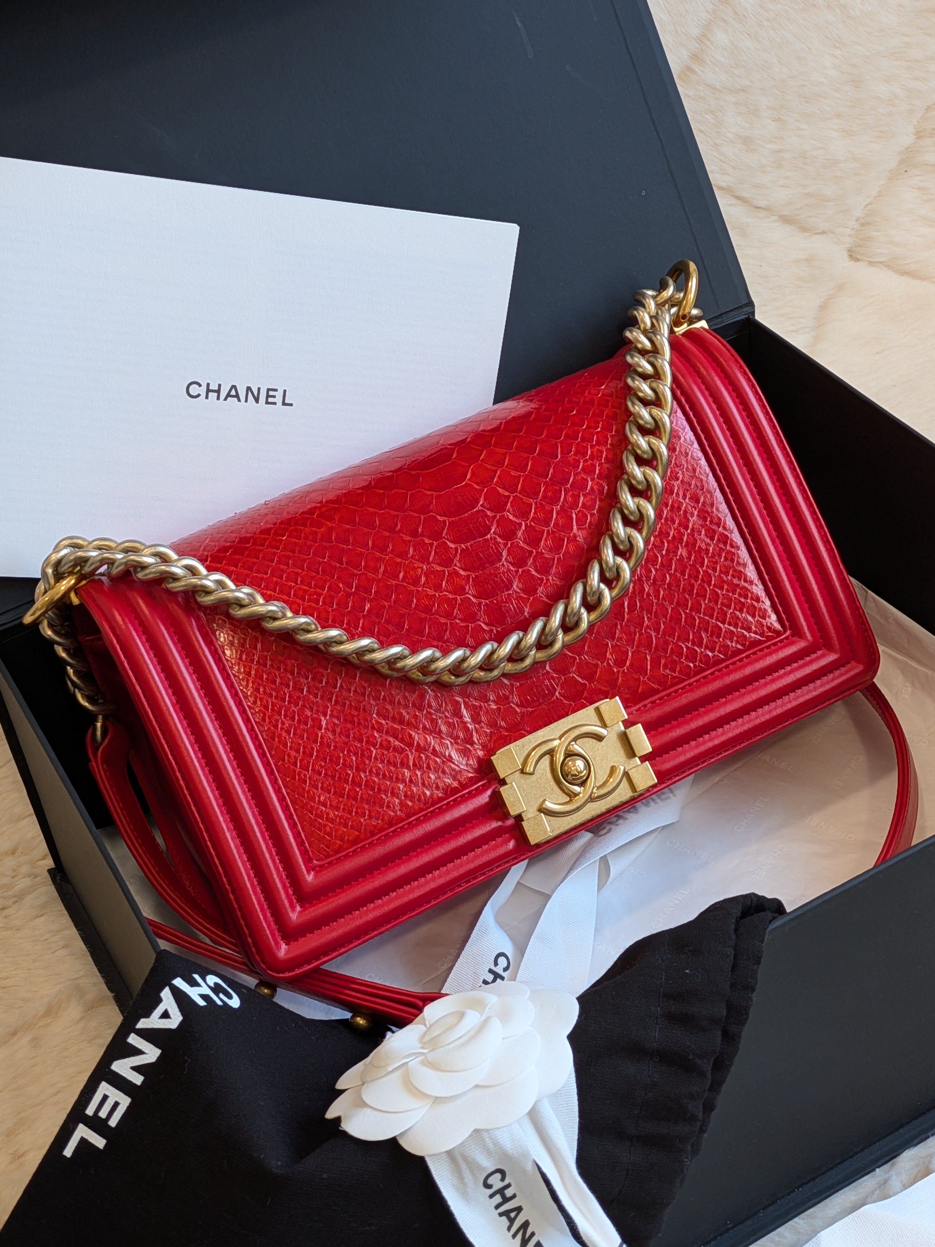 Chanel Leboy Python Leather Red GHW