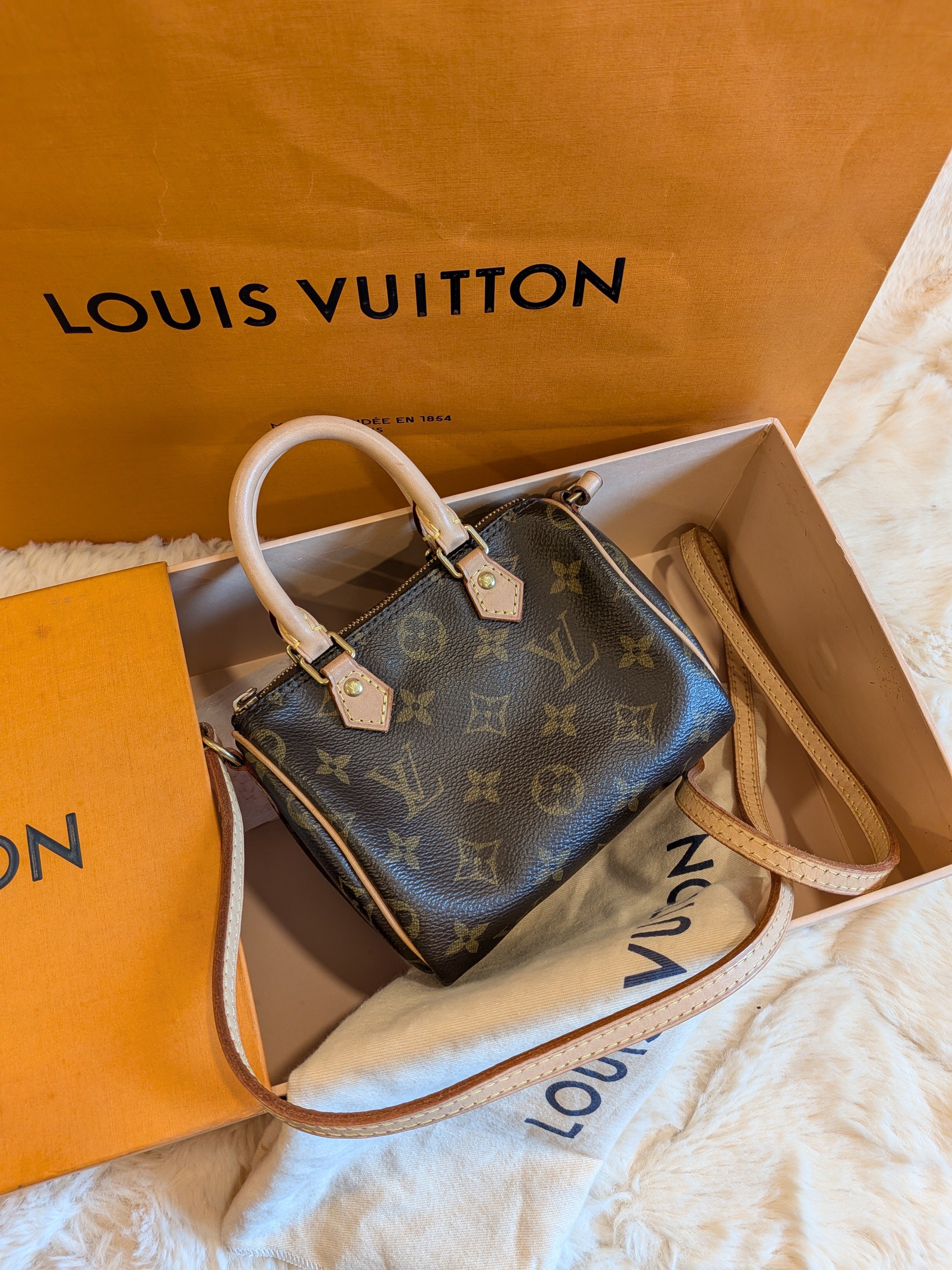 Louis Vuitton Speedy Nano Monogram Canvas
