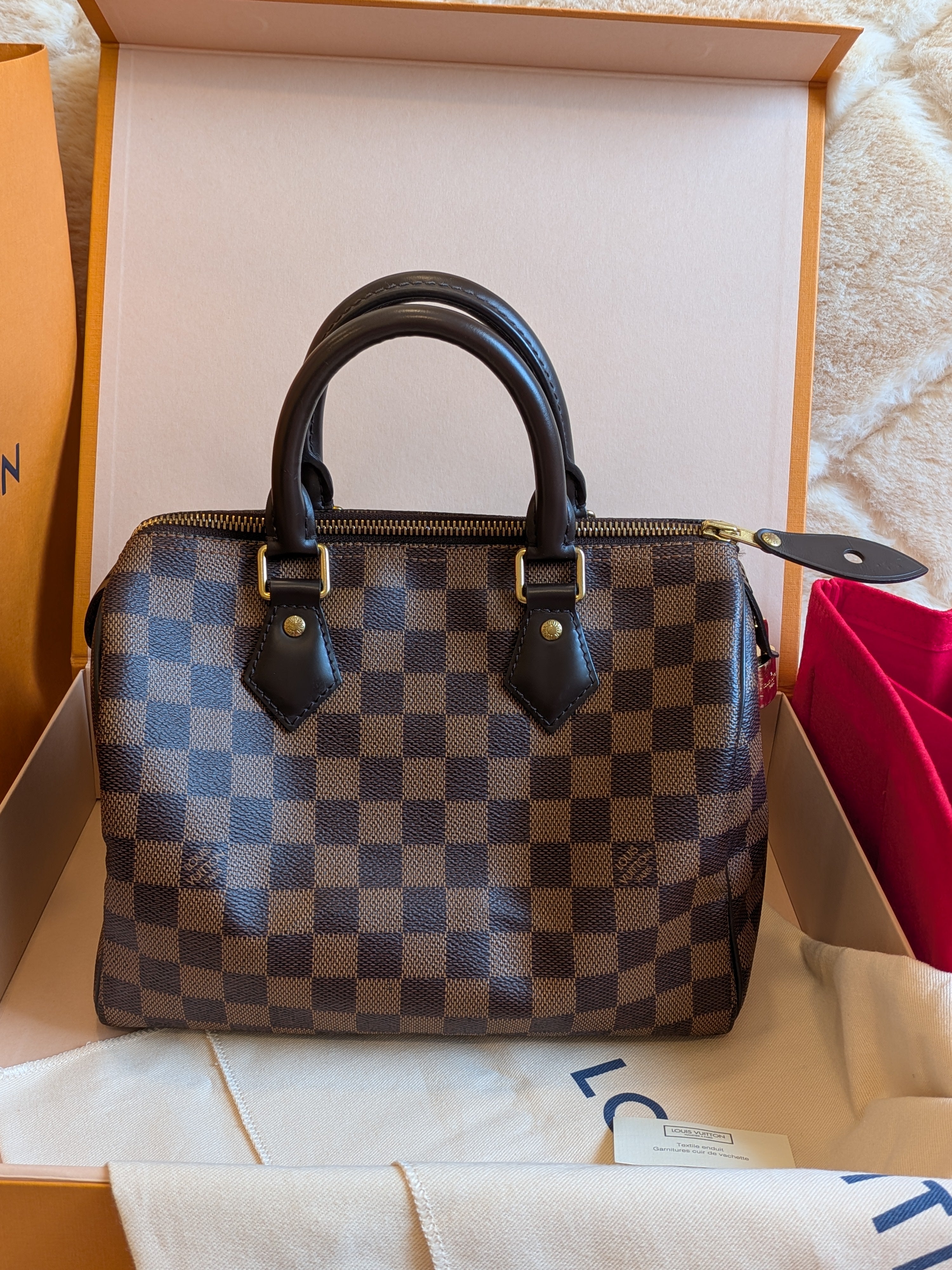 Louis Vuitton Speedy 25 Damier Ebene