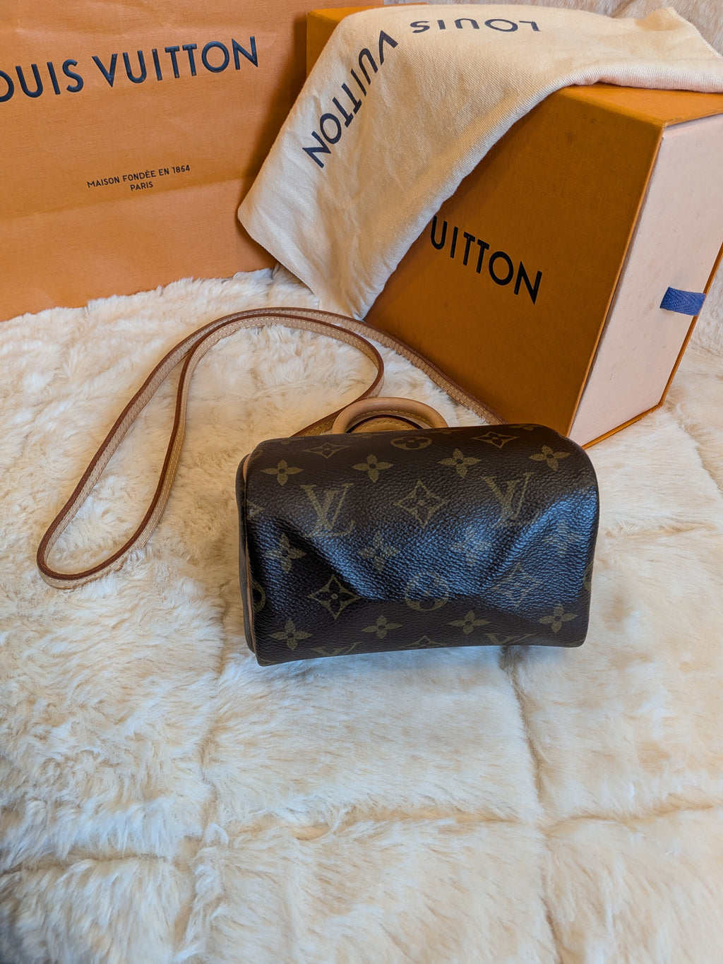 Louis Vuitton Speedy Nano Monogram Canvas