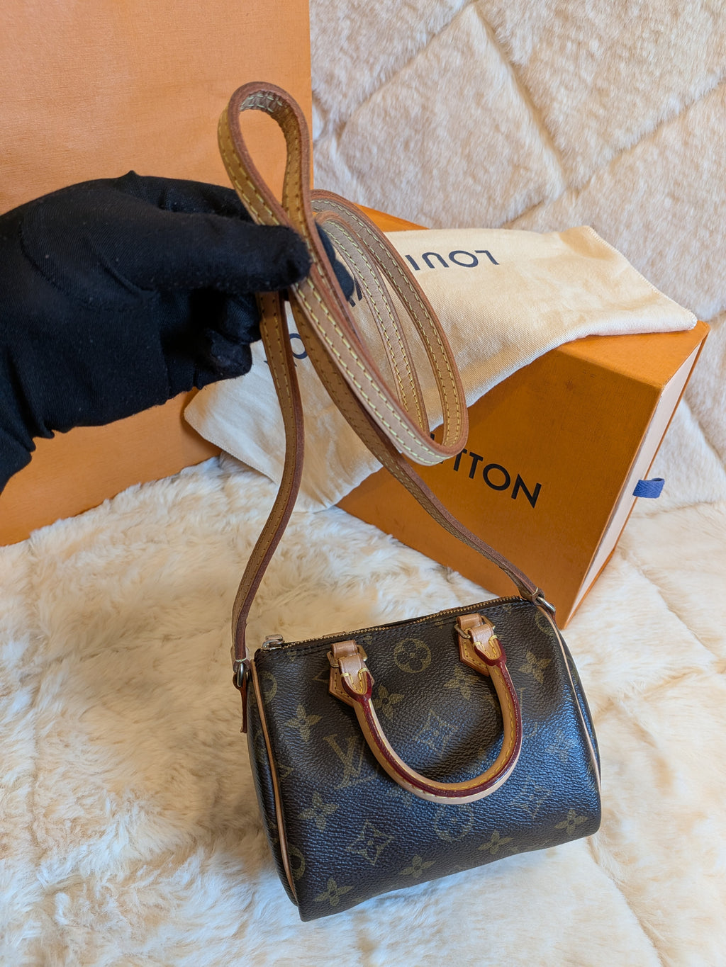 Louis Vuitton Speedy Nano Monogram Canvas