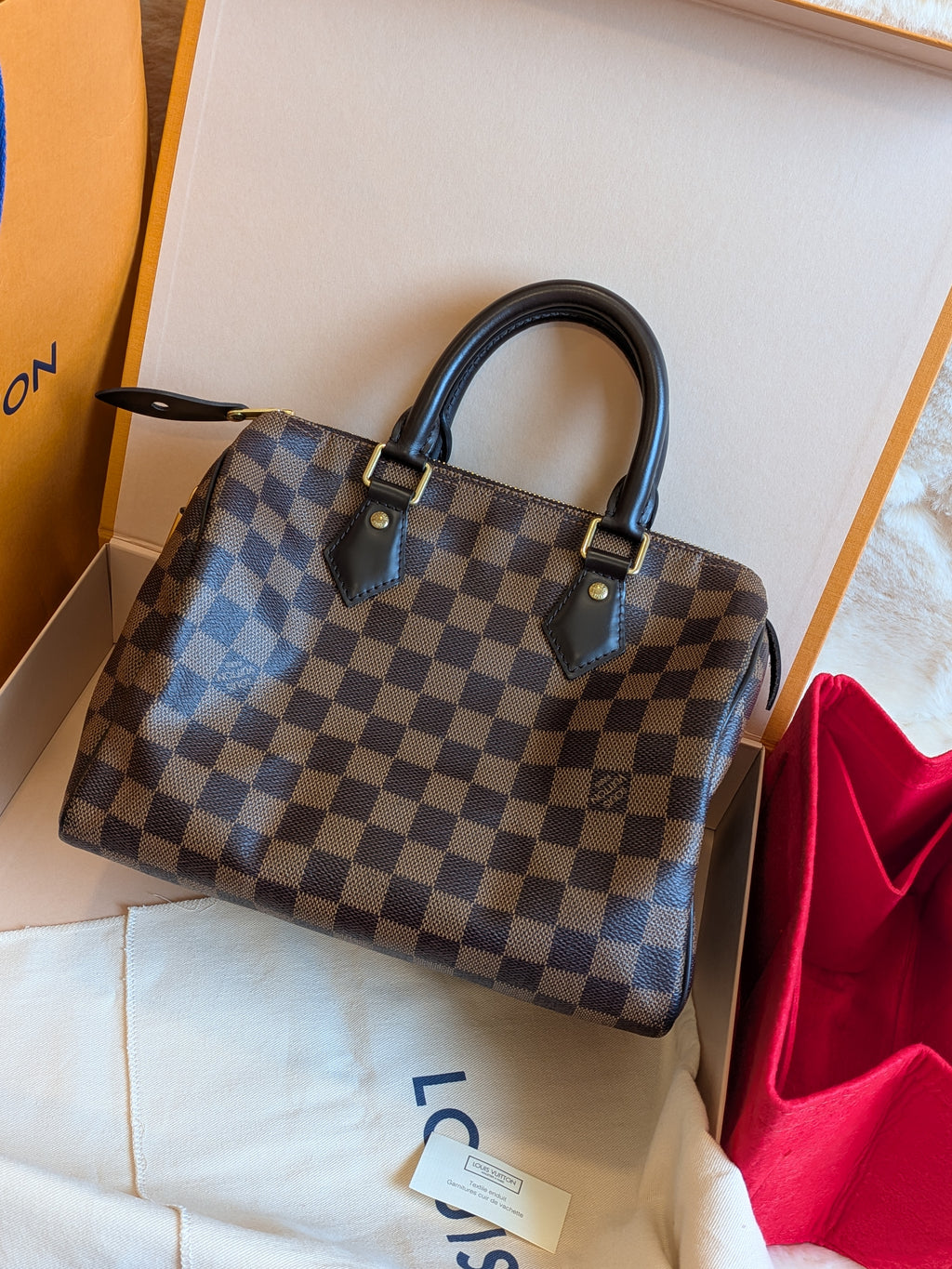 Louis Vuitton Speedy 25 Damier Ebene