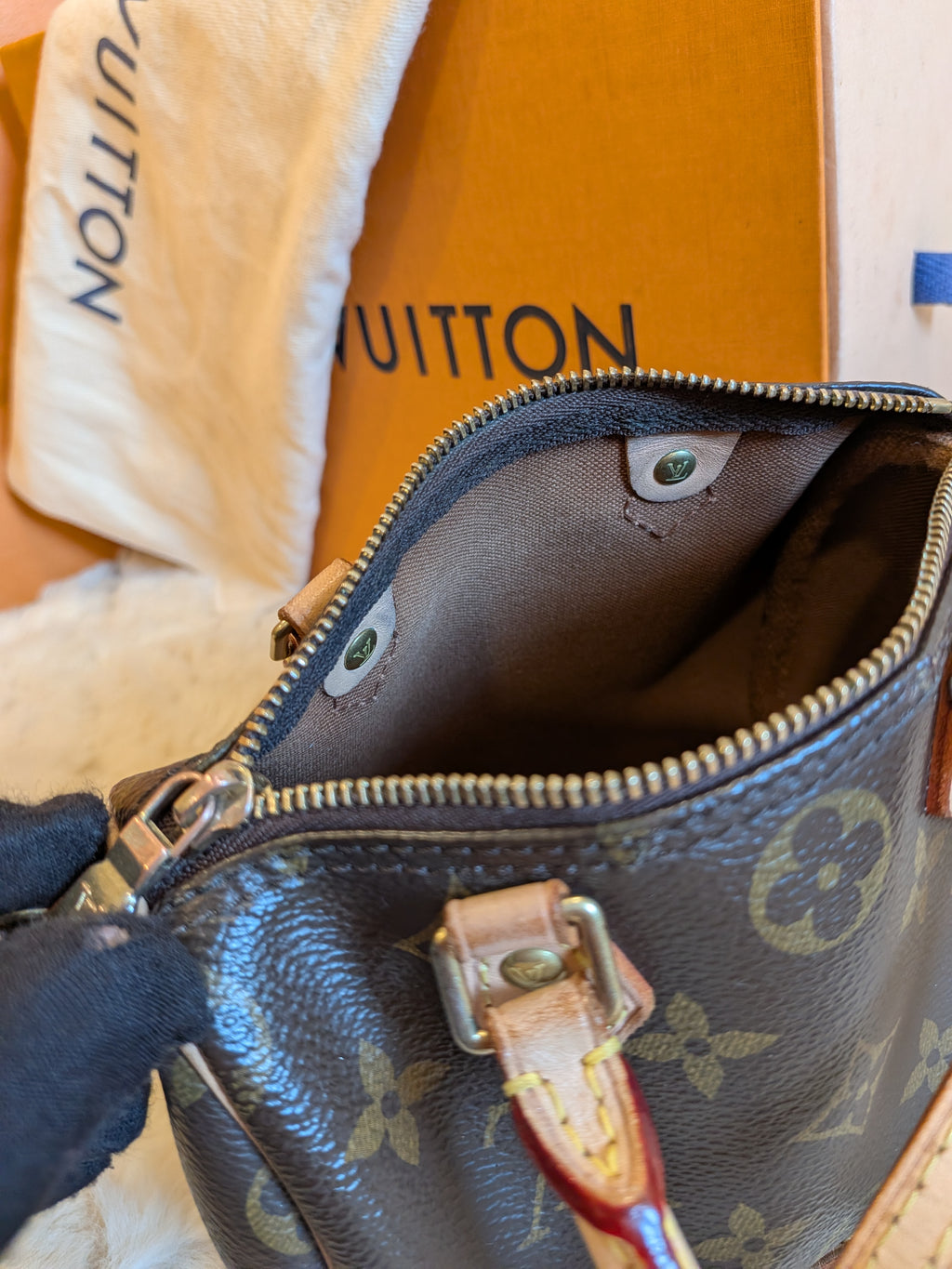 Louis Vuitton Speedy Nano Monogram Canvas